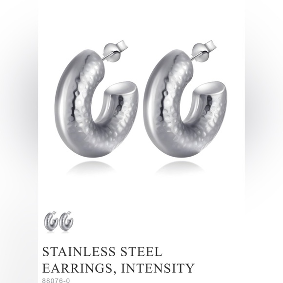 BN! Beautiful earrings ! Stainless steel - Picture 1 of 4